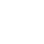 svg icon